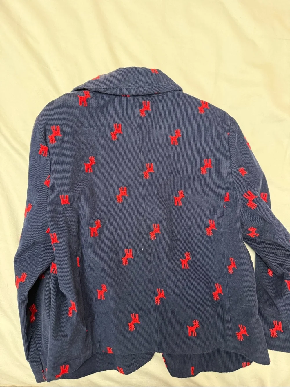 Boy’s Navy Blazer with Red Embroidered Motif